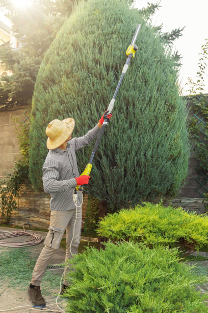 Best Sod Installation  in Combe, LA